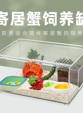 不怕摔 【寄居蟹饲养套餐套装】新手饲养箱用品儿童礼物桌面宠物