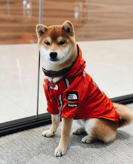 狗狗冲锋衣防风防雨涤纶秋冬保暖狗狗衣服雨衣宠物衣服大型犬包邮