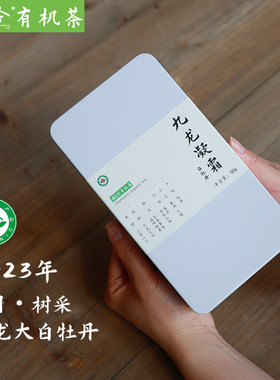 九龙大白2023冬采一级白牡丹