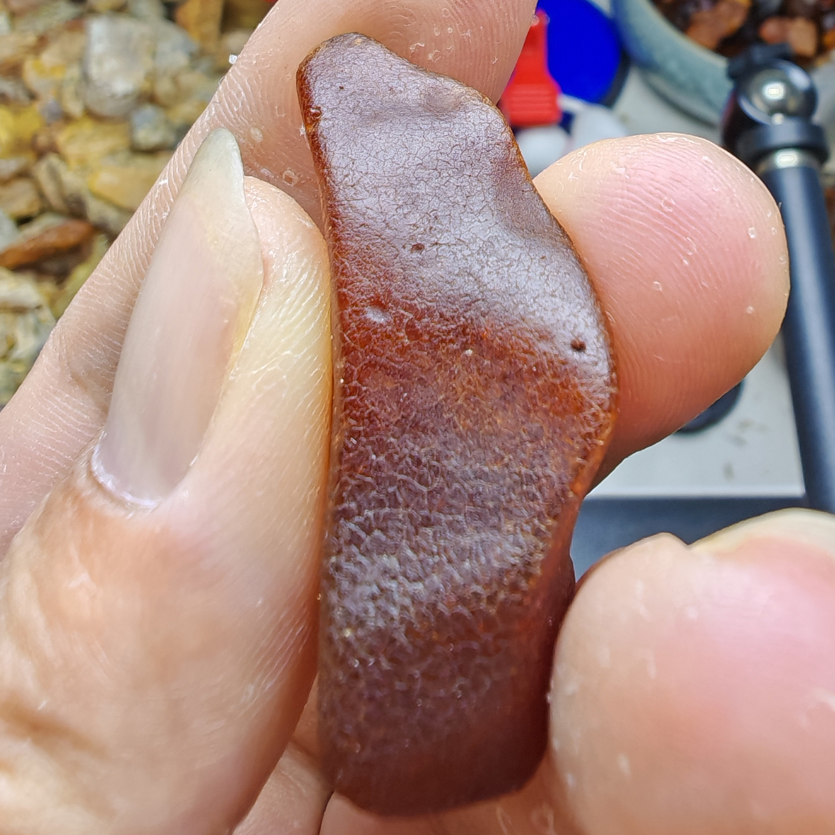 天然琥珀蜜蜡原石波罗的海金绞蜜半珀半蜜随型吊坠手串全皮原矿