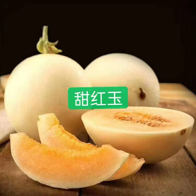 内蒙五原头茬早黄蜜甜红玉哈密瓜