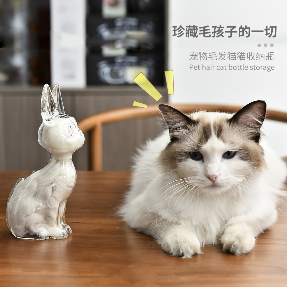 猫毛收纳瓶透明猫毛小狗毛收纳罐