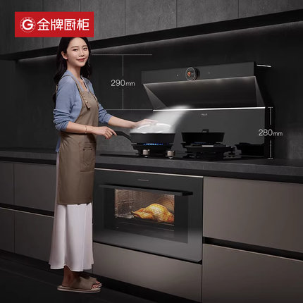 金牌厨柜厨房整体橱柜定制家用石英石台面灶台柜电一体做集成厨房