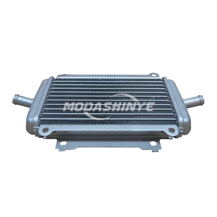 适用 VESPA GTS GTV 6日 250 300 水箱 水冷器 原厂