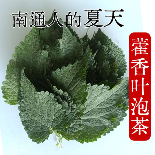 南通农家新鲜藿香泡茶夏天喝解渴