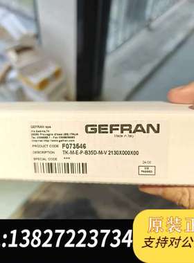 意大利GEFRAN杰佛伦F073546，