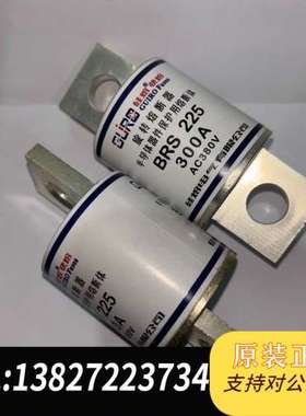 旋转熔断器BRS225 300A380V  CZ225 38