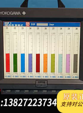 全新原装Yokogawa横河 DX2030-1-4-3 无纸，