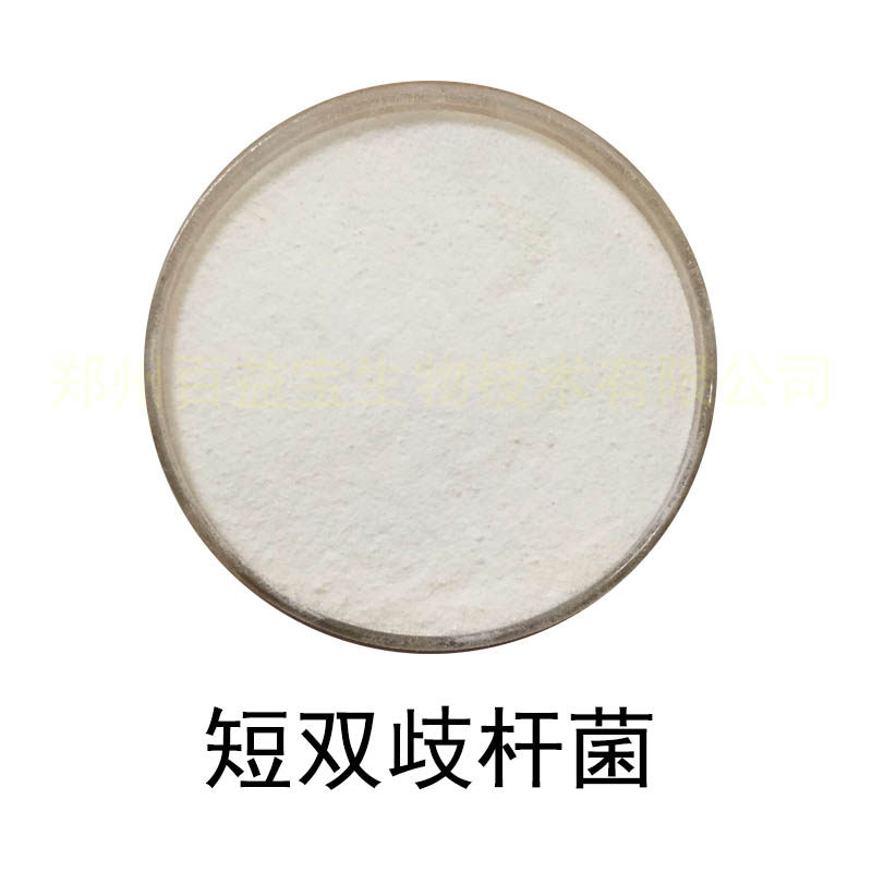 食品级乳酸菌冻干菌粉 短双歧杆菌 活性益生菌实验散装原料1000亿