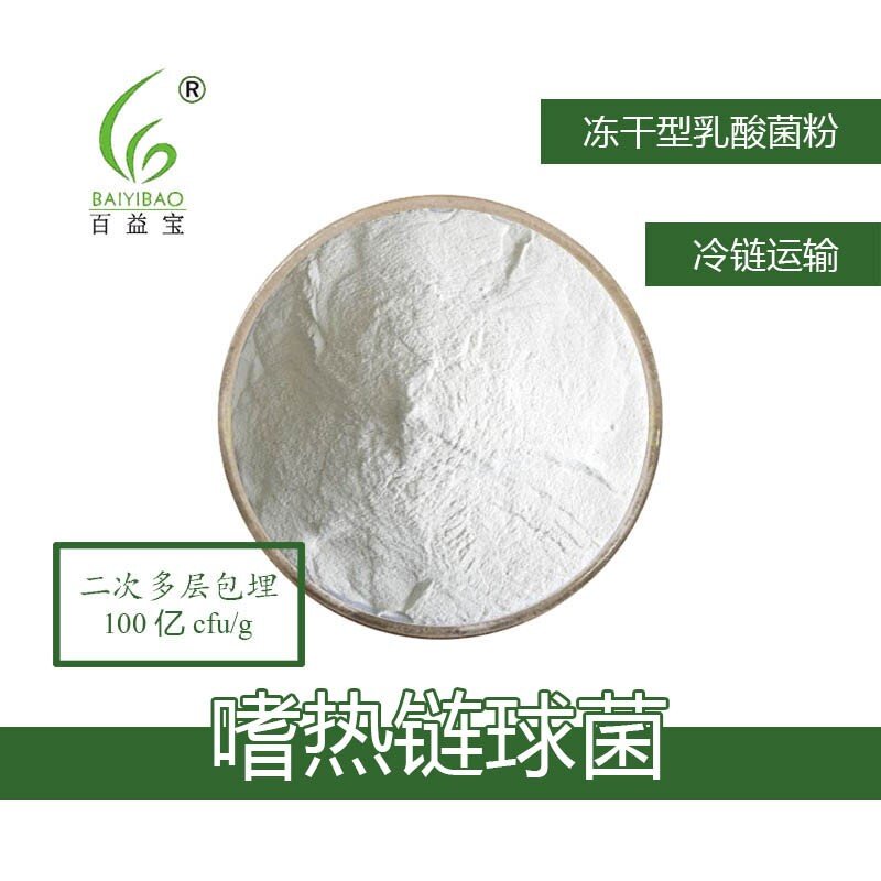 食品级乳酸菌冻干粉嗜热链球菌