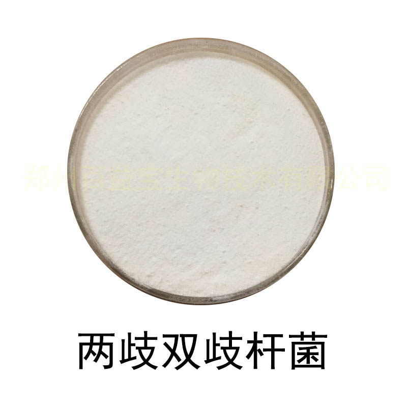 食品级乳酸菌冻干菌粉两歧双歧杆菌活性散装益生菌实验原料1000亿