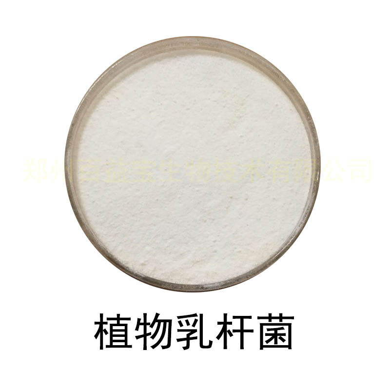 食品级植物乳杆菌实验检测乳酸菌