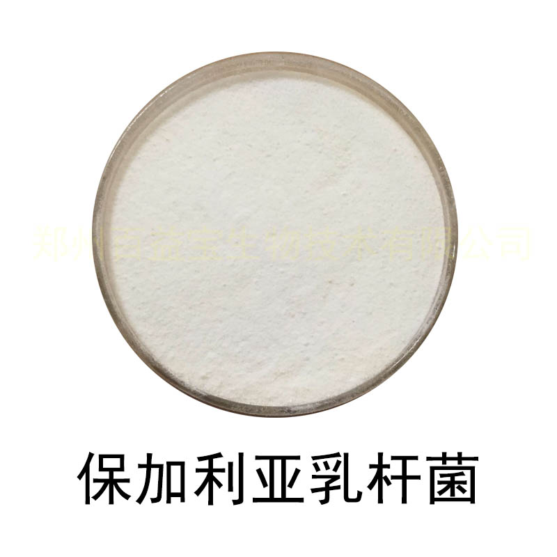 食品级乳酸菌冻干菌粉保加利亚乳杆菌 实验活性益生菌原料 1000亿