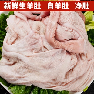 羊肚新鲜生羊肚纯羊肚白羊肚去毛净羊肚商用批发整个全羊肚生羊杂