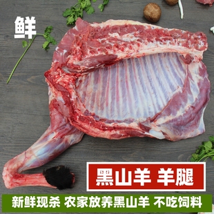 黑山羊羊腿 山羊腿 新鲜羊肉现杀羊肉放养山羊黑羊腿羊排带皮羊肉