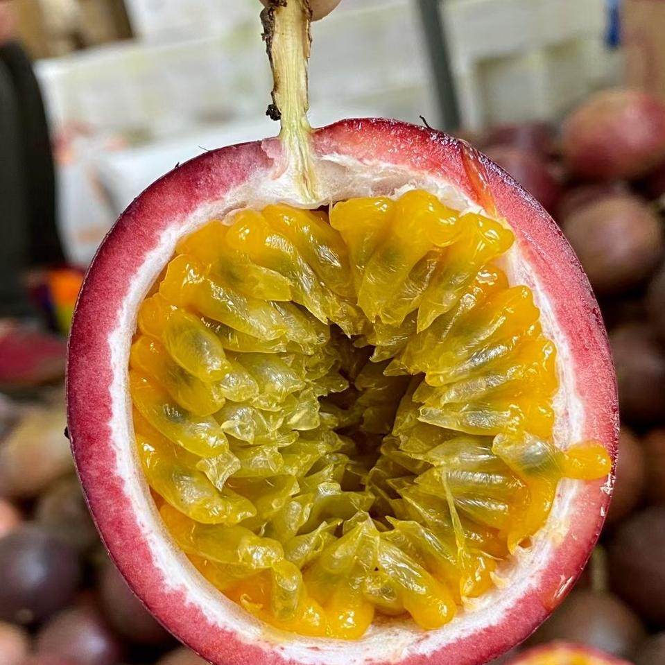 百香果现摘现发5斤成熟农家百香果百广西百香果当季水果新鲜水果,水产肉类/新鲜蔬果/熟食,百香果,淘宝优惠券,粉丝福利购,淘宝优惠卷