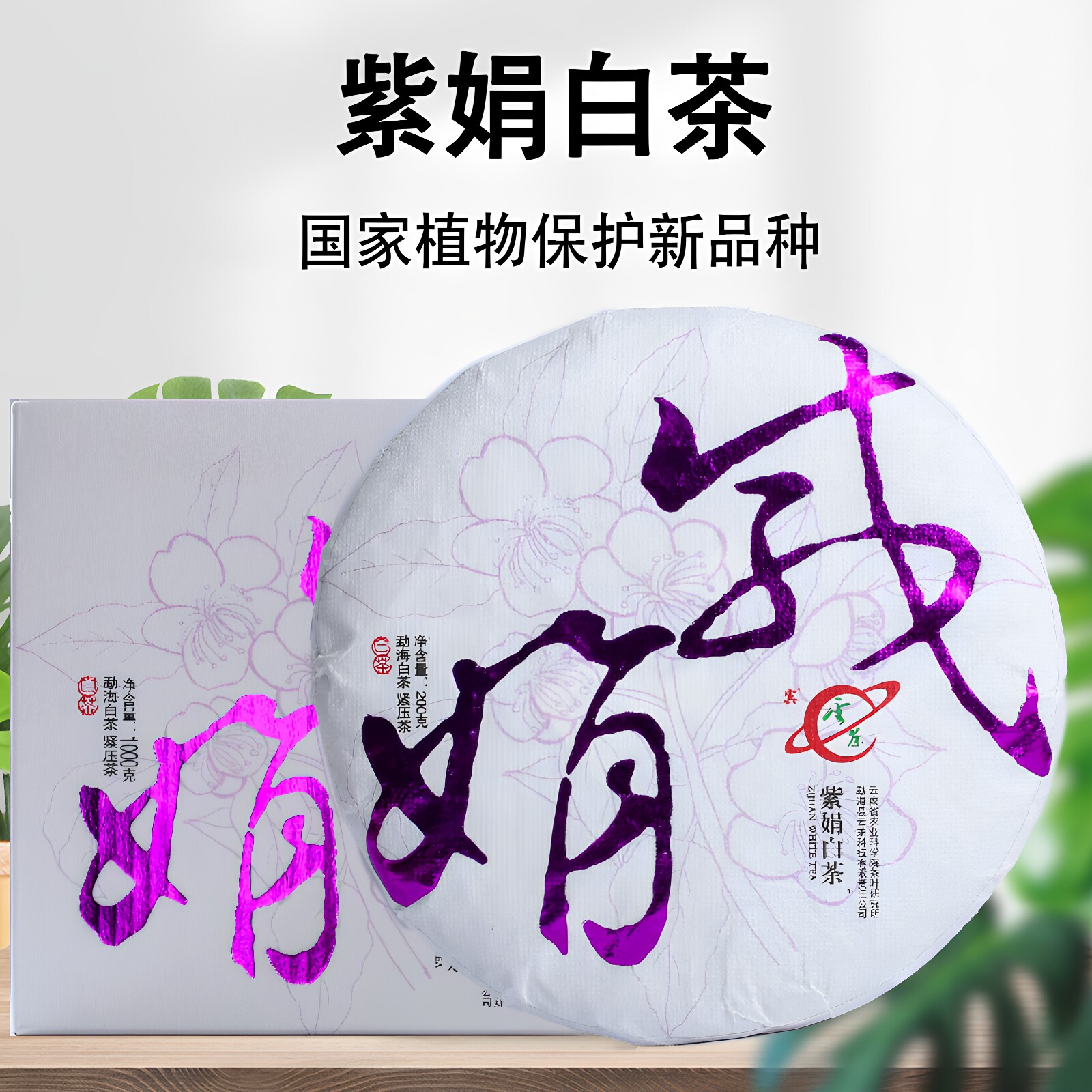 紫娟白茶云南茶科所白茶200克/饼