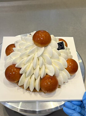焦糖脆顶法式圣多诺黑泡芙塔甜点下午茶网红仿真生日蛋糕模型定制