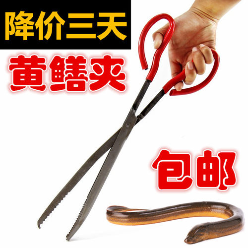 捉泥鳅螃蟹龙虾专用防脱黄鳝夹