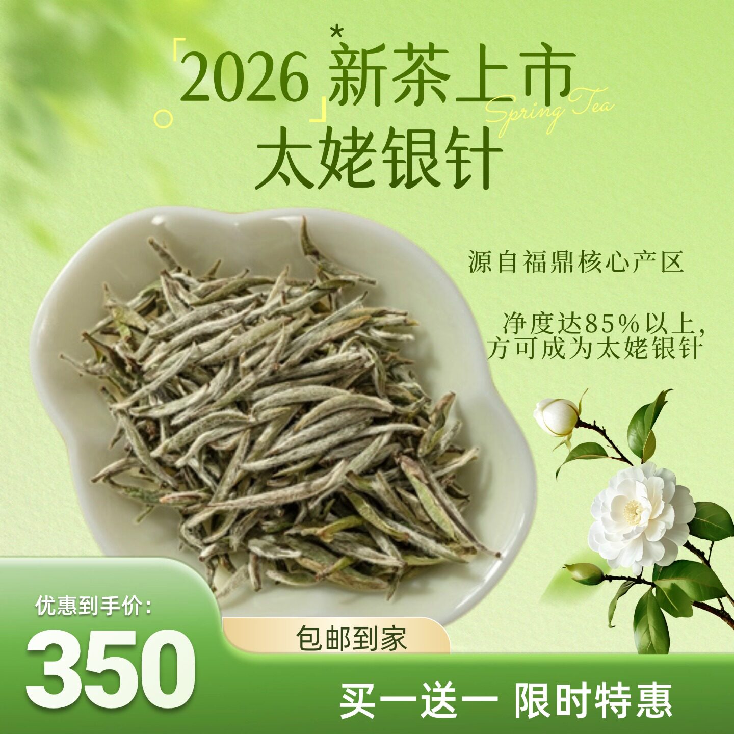 明前正宗特级头采白毫银针太姥银针茶花香毫香散茶50g