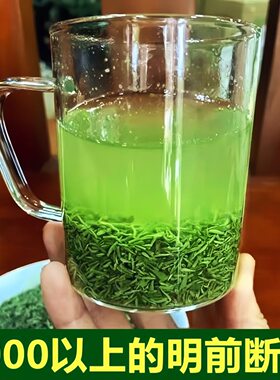 信阳毛尖明前特级断芽2025新茶