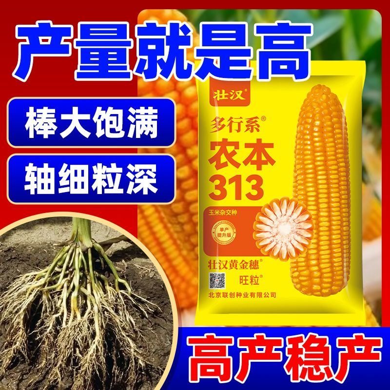 高产玉米种子国审新品种双棒矮杆抗倒抗旱高产抗病高芽率苞米种,农用物资,玉米种子/种苗,淘宝优惠券,粉丝福利购,淘宝优惠卷
