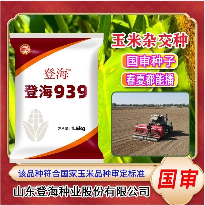 登海939当季新种玉米杂交种紫轴抗病抗旱抗倒伏活杆成熟正品正宗,农用物资,玉米种子/种苗,淘宝优惠券,粉丝福利购,淘宝优惠卷