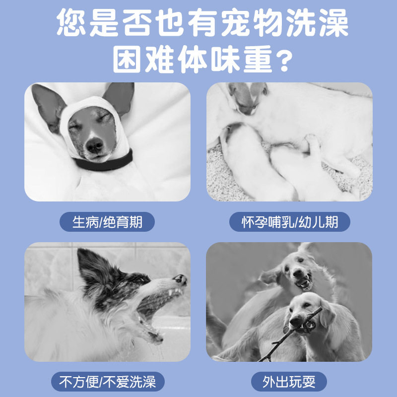 宠物用品宠物湿巾免洗手套狗狗洗