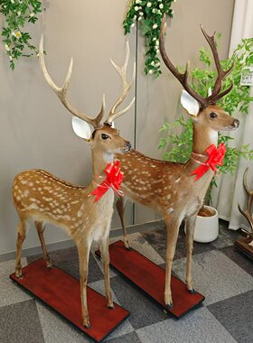 展厅客厅会客室摆件淘鹿皮毛