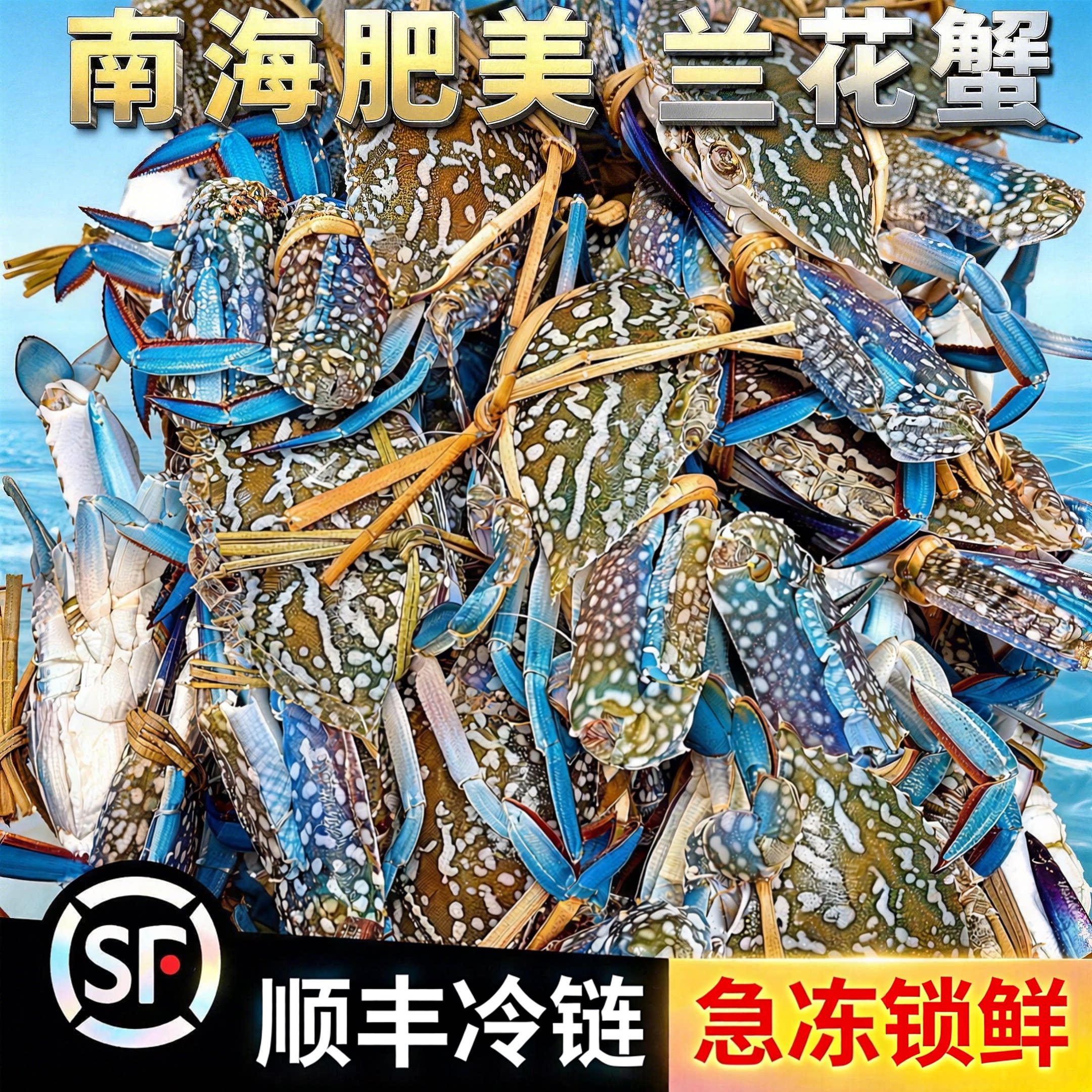 【顺丰到家】兰花蟹梭子蟹阿曼新鲜冷冻特大螃蟹冻蟹海鲜水产花蟹