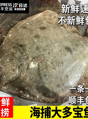 【顺丰到家】新鲜特大多宝鱼八宝鱼偏口鱼鲽鱼海鱼海鲜水产菱平鱼