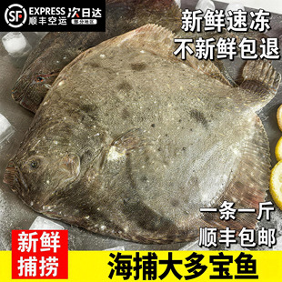 【顺丰到家】新鲜特大多宝鱼八宝鱼偏口鱼鲽鱼海鱼海鲜水产菱平鱼