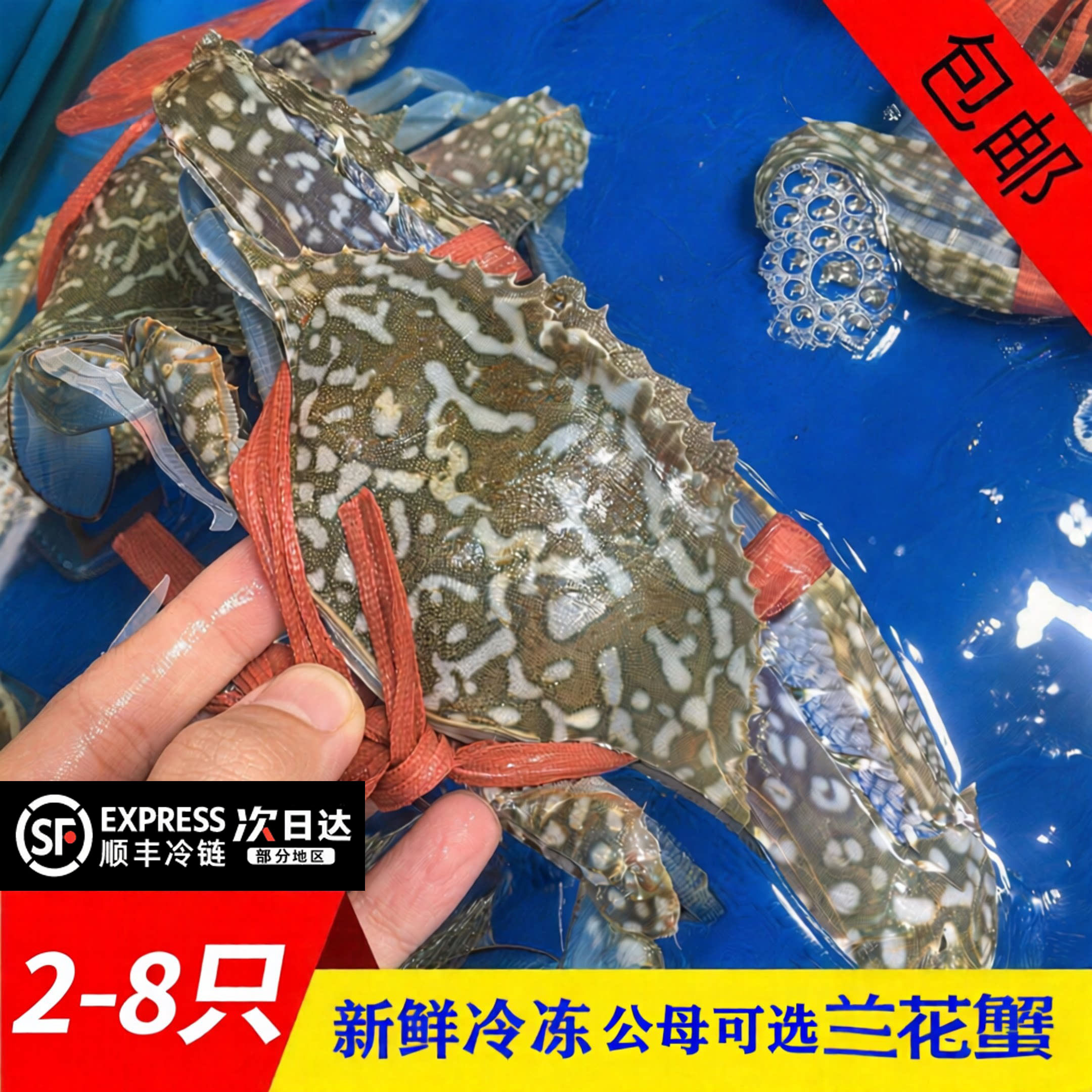 【顺丰到家】冻兰花蟹远洋梭子蟹冻蓝花蟹生鲜整只螃蟹海水捕捞蟹