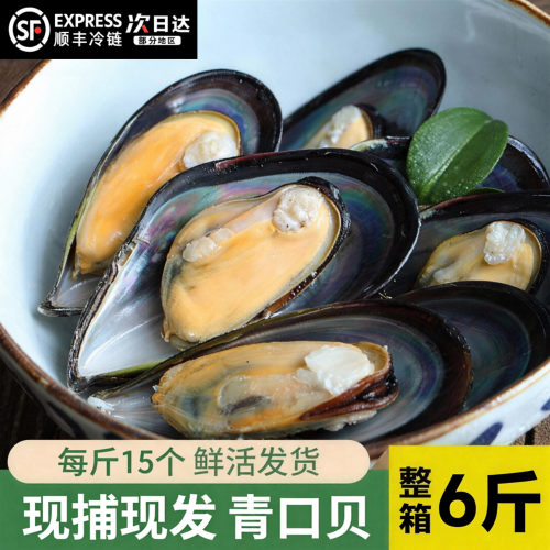 【顺丰到家】鲜活青口贝特大新鲜大海虹淡菜野生贻贝海鲜贝类水产