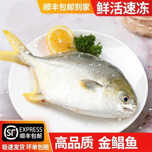 【顺丰到家】新鲜金鲳鱼特大冷冻海鱼深海鲳鱼金昌鱼平鱼冷冻海鲜