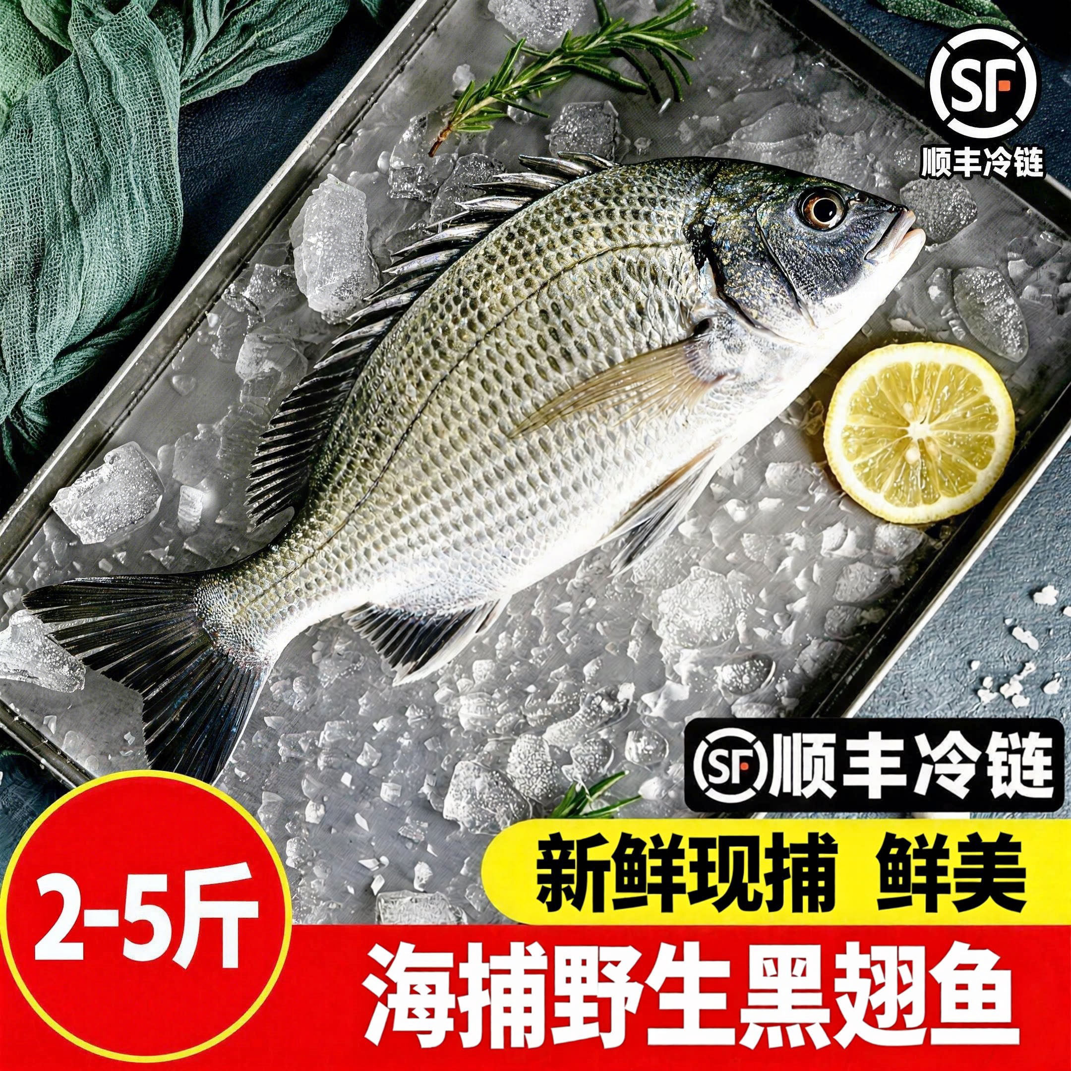 【顺丰到家】本港黑鲷鱼黑翅鱼速冻冷冻海鲜黑脚立鱼黑鳍鲷东山岛