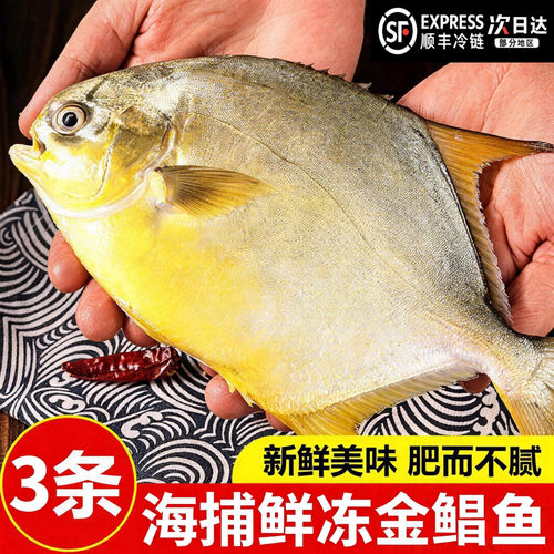 【顺丰到家】金鲳鱼新鲜镜鱼海鱼鲳鱼金昌鱼平鲳鱼海鲜水产鲜冷冻