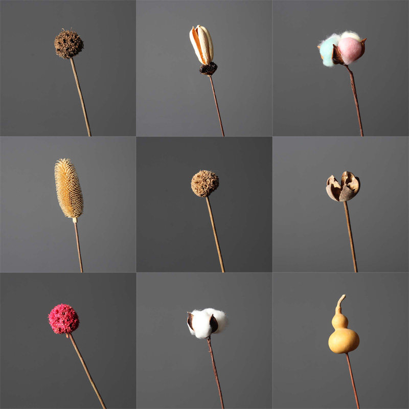 北欧天然真干花风干小花束禅意花枝客厅书房桌面摆设装饰拍照道具,家居饰品,干花/花瓣/干花包/干树枝,淘宝优惠券,粉丝福利购,淘宝优惠卷