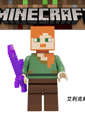 我的世界 21140 21144 21152 min017 亚历克斯 人仔积木玩具