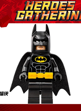 蝙蝠侠大电影人仔积木 sh312 70903 70905 70909 70916拼装玩具