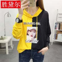休闲运动套头印花连帽宽松拼色上衣棉外套卫衣女 韩版 秋冬新品 长袖