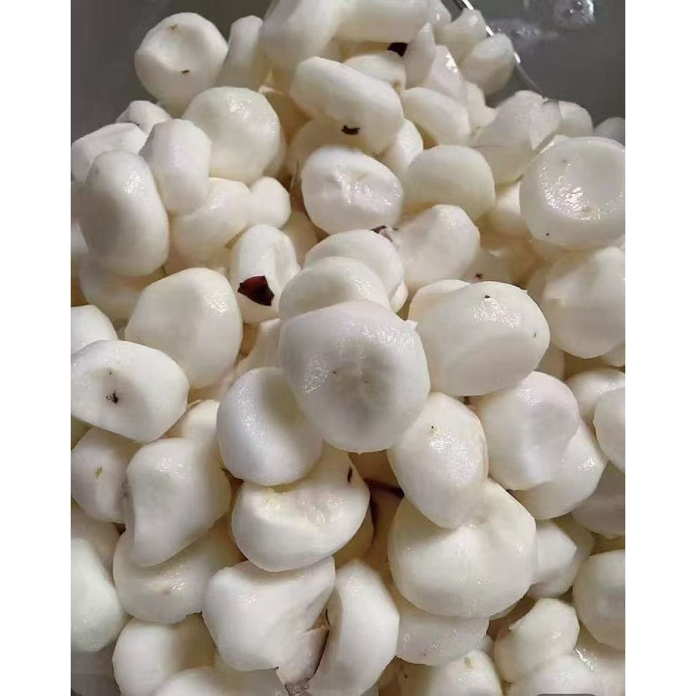 湖南邵东佘田桥茨菇削皮真空包装光洪村茨菇马蹄荸荠新鲜地栗农家