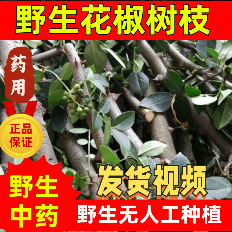 野生花椒树枝野生花椒木树枝药用图片