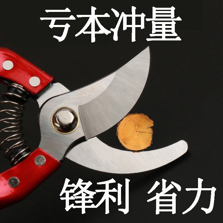 修枝剪剪刀枝剪葡萄火龙果