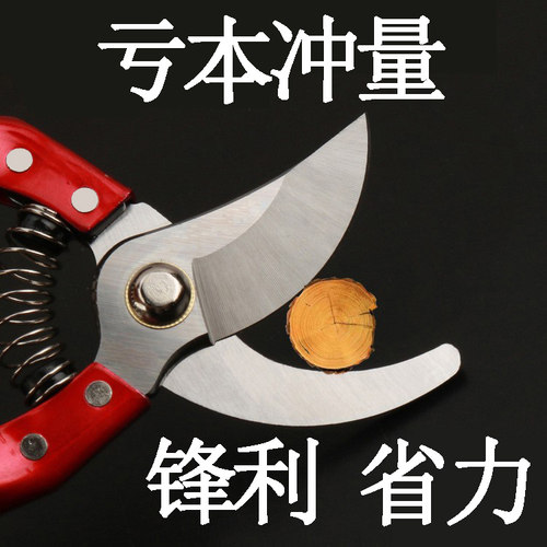 修枝剪剪刀枝剪葡萄火龙果