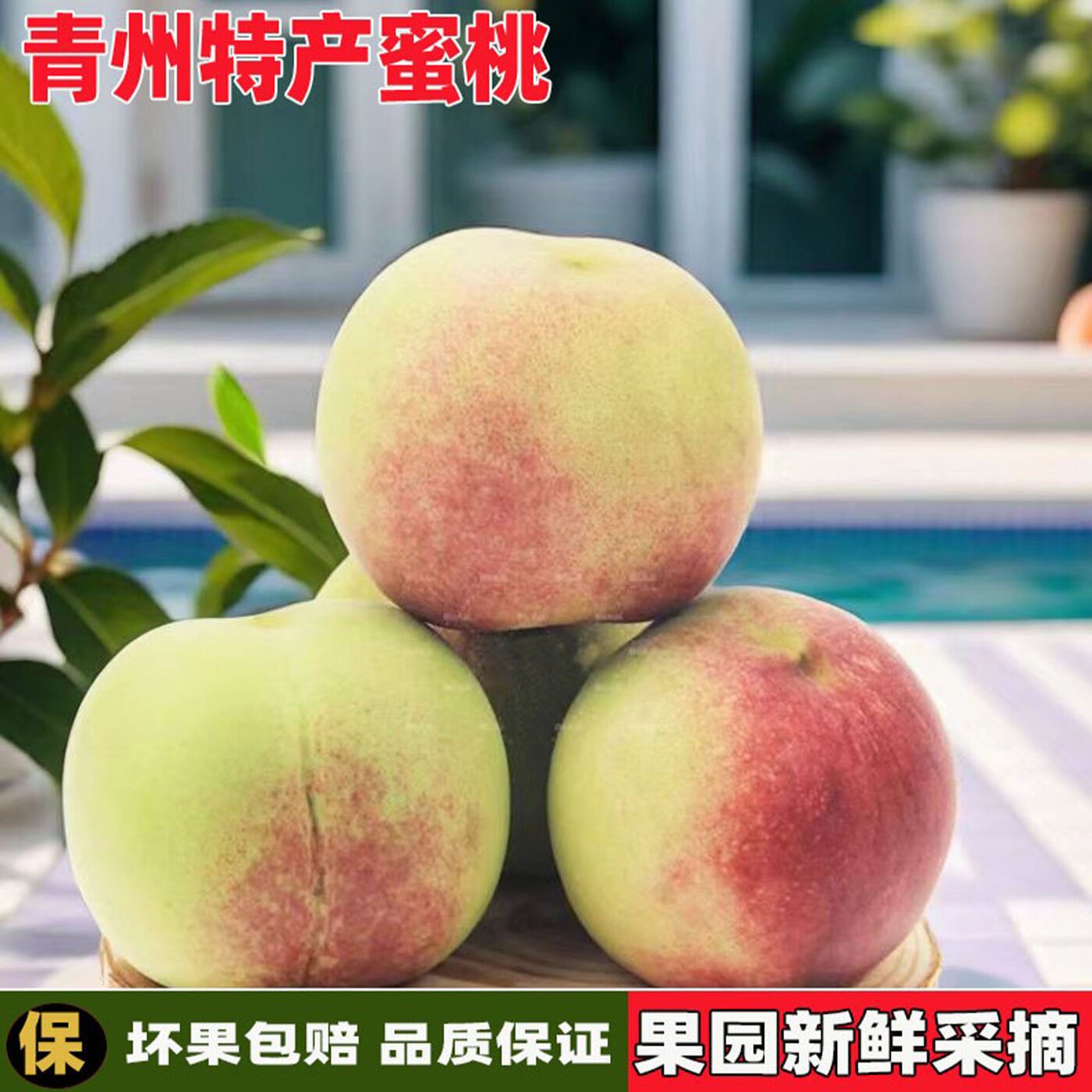 山东青州蜜桃现摘现发脆软两吃