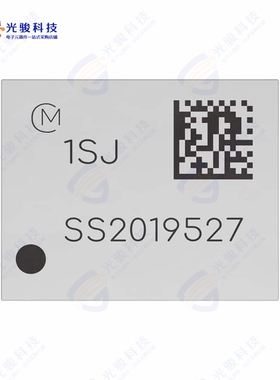 LBAA0QB1SJ-296《LORA MODULE》