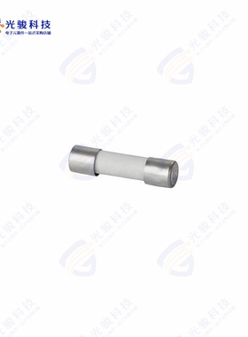 431200000《FUSE 5X20MM 4 A 250V FST》