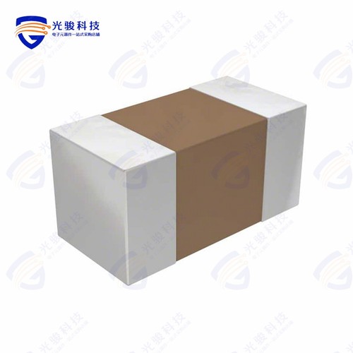 CBR08C308ACGAC《CAP CER 0.3PF 500V C0G/NP0 0805》