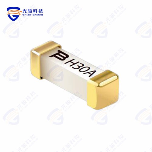 SF-3812FG3000T-2《FUSE BRD MT 30A 125VAC/100DC SMD》